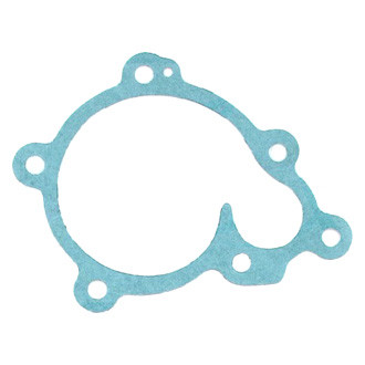 Apex Auto® - Engine Coolant Water Pump Gasket