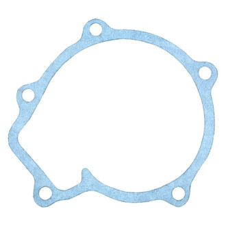 Apex Auto® - Engine Coolant Water Pump Gasket