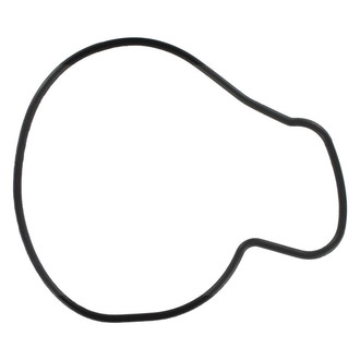 Apex Auto® - Engine Coolant Water Pump Gasket