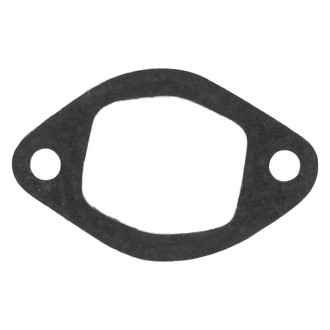 Apex Auto® - Engine Coolant Water Pump Gasket
