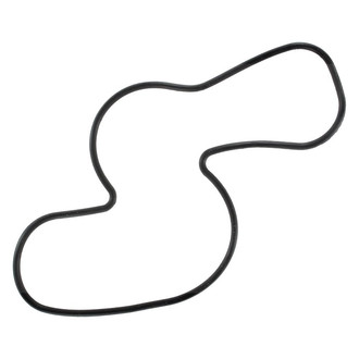 Apex Auto® - Engine Coolant Water Pump Gasket