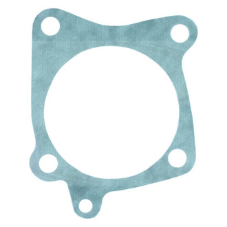 Apex Auto® - Engine Coolant Water Pump Gasket