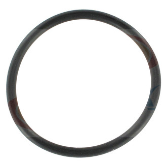 Apex Auto® - Engine Coolant Water Pump Gasket
