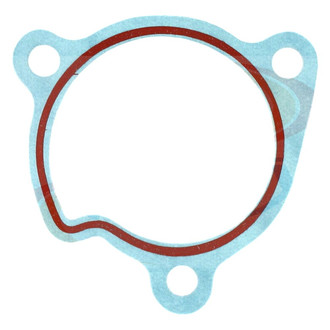 Apex Auto® - Engine Coolant Water Pump Gasket