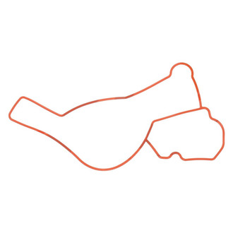 Apex Auto® - Engine Coolant Water Pump Gasket