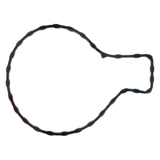 Apex Auto® - Engine Coolant Water Pump Gasket