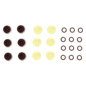 Apex Auto® - Valve Stem Seal Set
