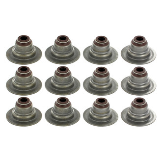 Apex Auto® - Engine Valve Stem Seal Set