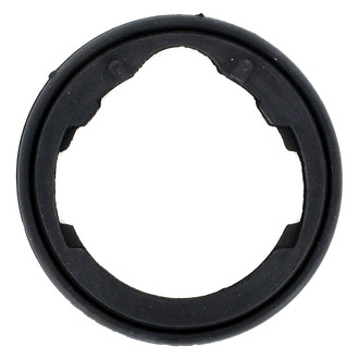 Apex Auto® - Engine Coolant Thermostat Housing O-Ring