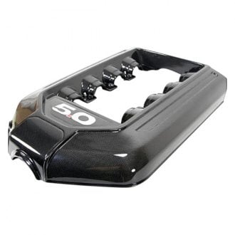 passion pro engine cover