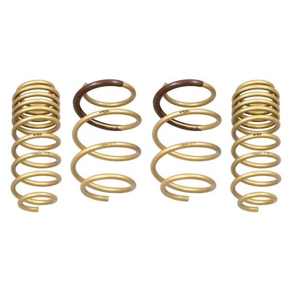 ARK Performance® - 1.15" x 1" GT-S™ Front and Rear Lowering Coil Springs