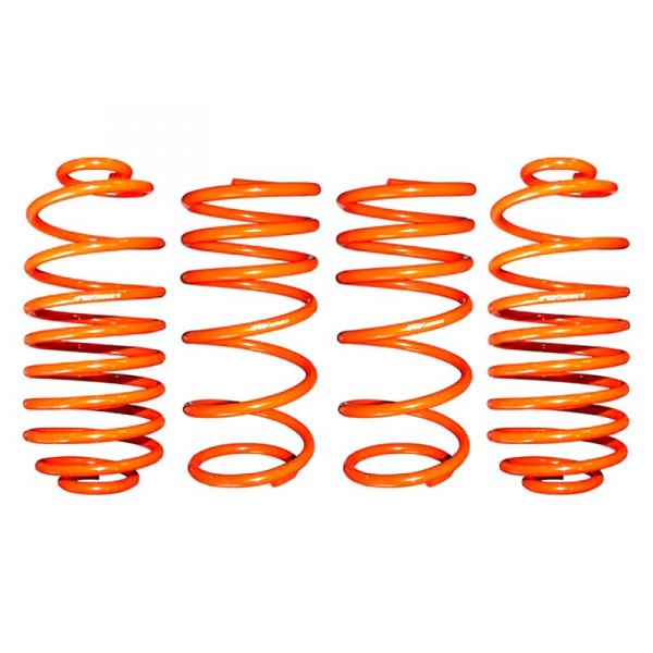ARK Performance® - 1.4" x 1.6" GT-F™ Front and Rear Lowering Coil Springs