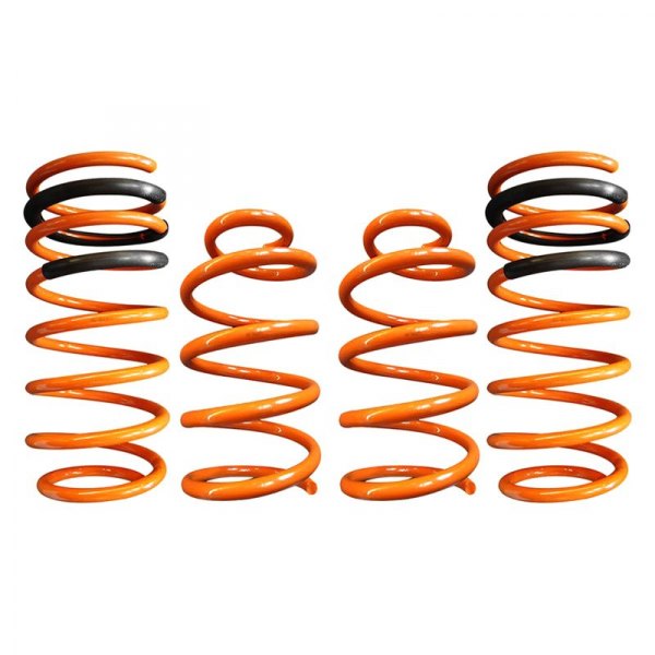 ARK Performance® - 1" x 1" GT-F™ Front and Rear Lowering Coil Springs