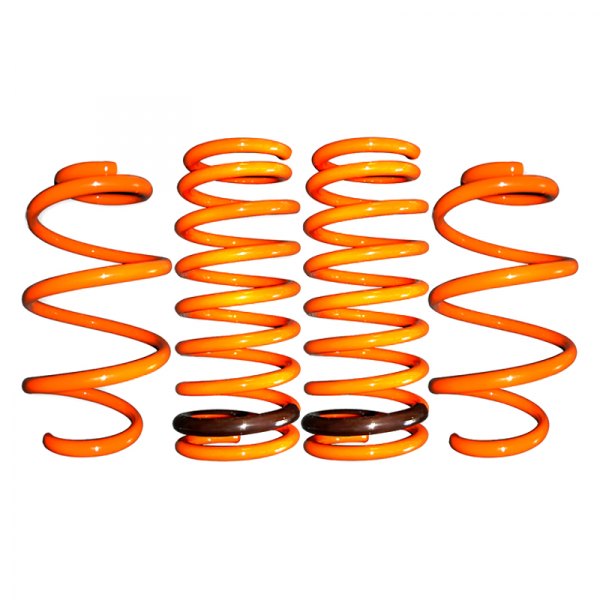 ARK Performance® - 1.2" x 1" GT-F™ Front and Rear Lowering Coil Springs