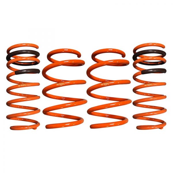 ARK Performance® - 1.25" x 1" GT-F™ Front and Rear Lowering Coil Springs