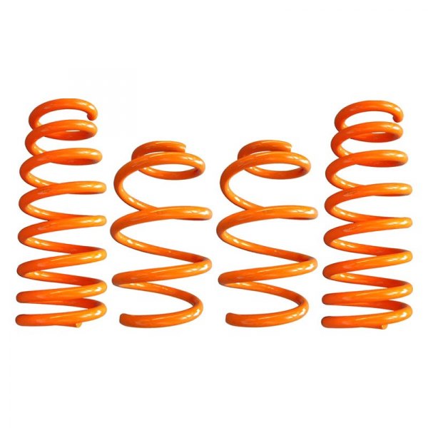 ARK Performance® - 1.25" x 1" GT-F™ Front and Rear Lowering Coil Springs