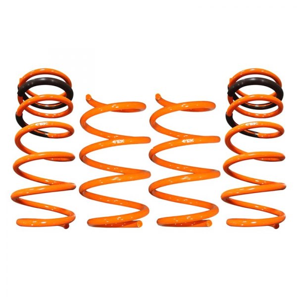 ARK Performance® - 1" x 0.75" GT-F™ Front and Rear Lowering Coil Springs