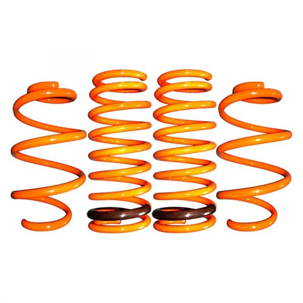 ARK Performance® - 1.5" x 1.25" GT-F™ Front and Rear Lowering Coil Springs