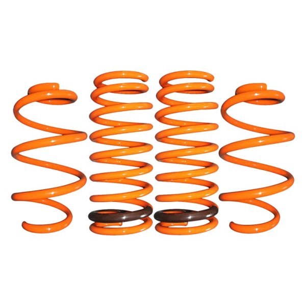 ARK Performance® - 1.4" x 1.25" GT-F™ Front and Rear Lowering Coil Springs
