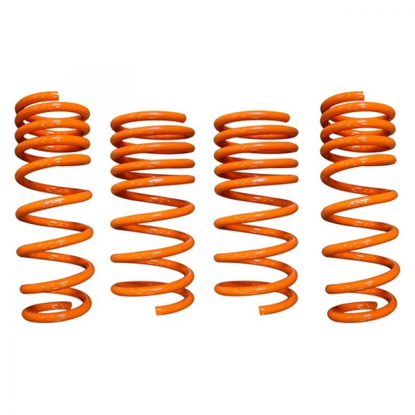ARK Performance® - 1" x 1" GT-F™ Front and Rear Lowering Coil Springs