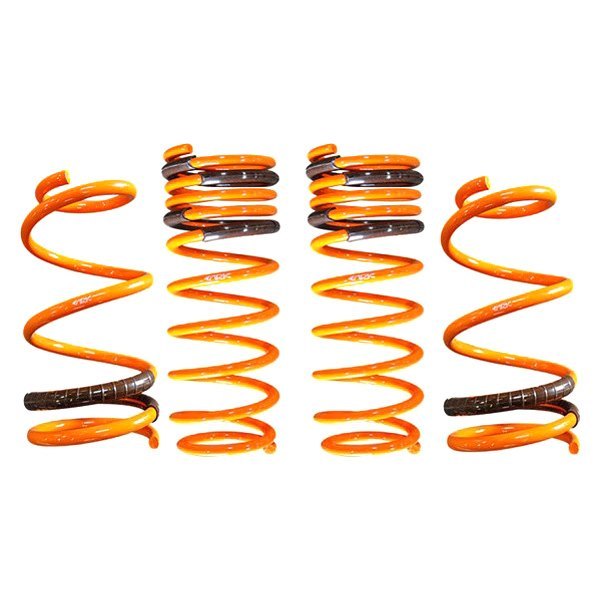 ARK Performance® - 1.25" x 1" GT-F™ Front and Rear Lowering Coil Springs