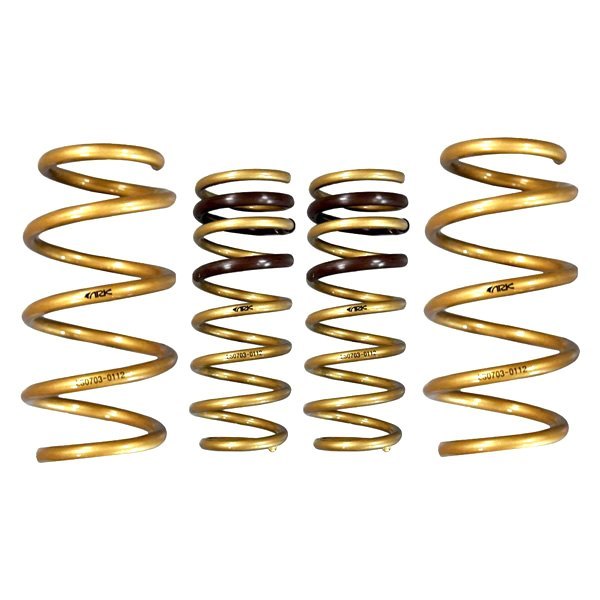 ARK Performance® - 1" x 1" GT-S™ Front and Rear Lowering Coil Springs