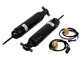 Arnott® - Air Shock