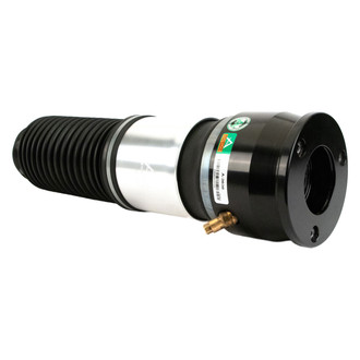 Arnott® - New Rear Air Spring