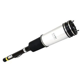 Arnott® - Rear Driver or Passenger Side Air Twin-Tube Non-Adjustable Strut