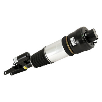 Arnott® - Front Driver Side Air Twin-Tube Non-Adjustable Strut