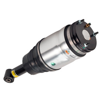 Arnott® - Rear Driver or Passenger Side Air Twin-Tube Non-Adjustable Strut
