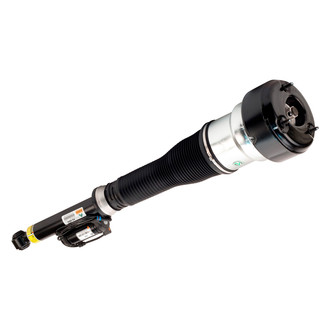 Arnott® - Rear Driver Side Air Twin-Tube Non-Adjustable Strut