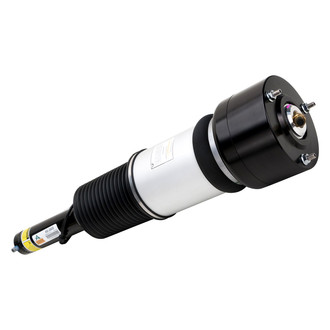Arnott® - Front Driver Side Air Twin-Tube Non-Adjustable Strut