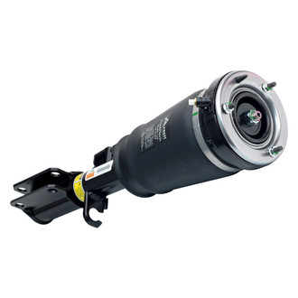 Arnott® - Front Driver Side Air Twin-Tube Non-Adjustable Strut