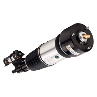 Arnott® - Front Driver Side Air Twin-Tube Non-Adjustable Strut