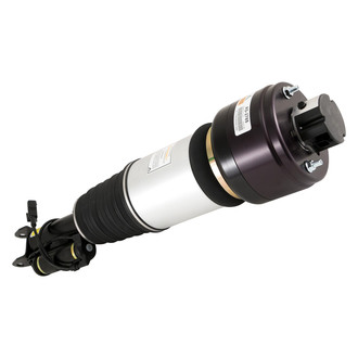 Arnott® - Front Passenger Side Air Twin-Tube Non-Adjustable Strut