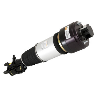 Arnott® - Front Passenger Side Air Twin-Tube Non-Adjustable Strut