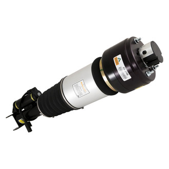 Arnott® - Front Driver Side Air Twin-Tube Non-Adjustable Strut