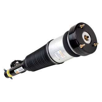 Arnott® - Front Driver or Passenger Side Air Twin-Tube Non-Adjustable Strut