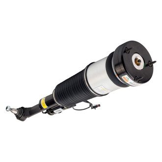 Arnott® - Front Driver Side Air Twin-Tube Non-Adjustable Strut