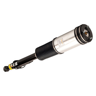 Arnott® - Rear Driver Side Air Twin-Tube Non-Adjustable Strut