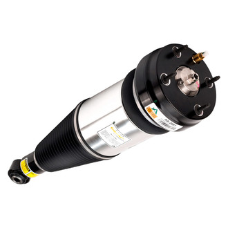 Arnott® - Rear Driver or Passenger Side Air Monotube Non-Adjustable Strut