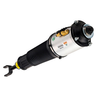 Arnott® - Front Driver Side Air Twin-Tube Non-Adjustable Strut