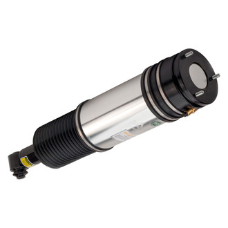 Arnott® - Rear Air Monotube Non-Adjustable Strut