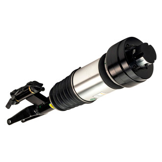 Arnott® - Front Passenger Side Air Monotube Non-Adjustable Strut