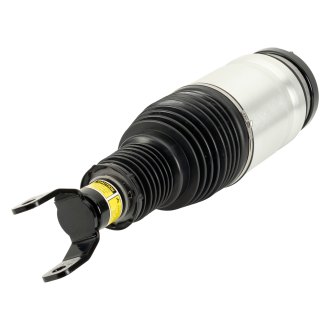 Arnott® - Front Air Strut