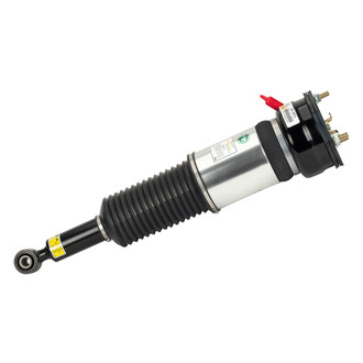 Arnott® - Rear Passenger Side Air Twin-Tube Non-Adjustable Strut