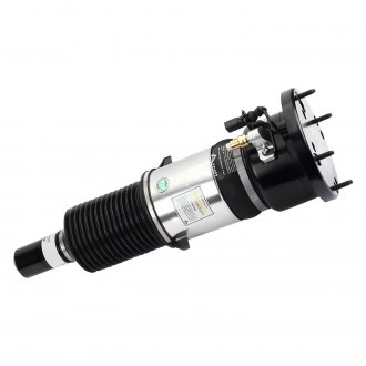 Arnott® - Eibach Front Driver or Passenger Side Air Strut