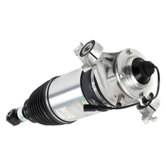 Arnott® - Eibach Rear Passenger Side Air Strut