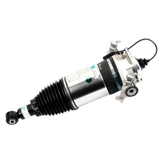 Arnott® - Eibach Rear Driver Side Air Strut